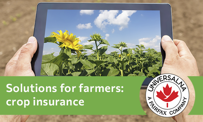 Solutions for farmers: crop insurance