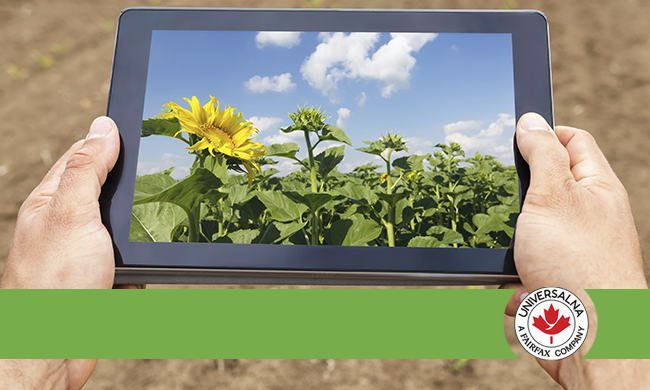 Solutions for farmers: crop insurance