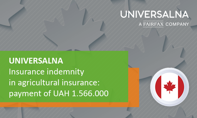 Insurance indemnity in agricultural insurance: payment of UAH 1.566.000